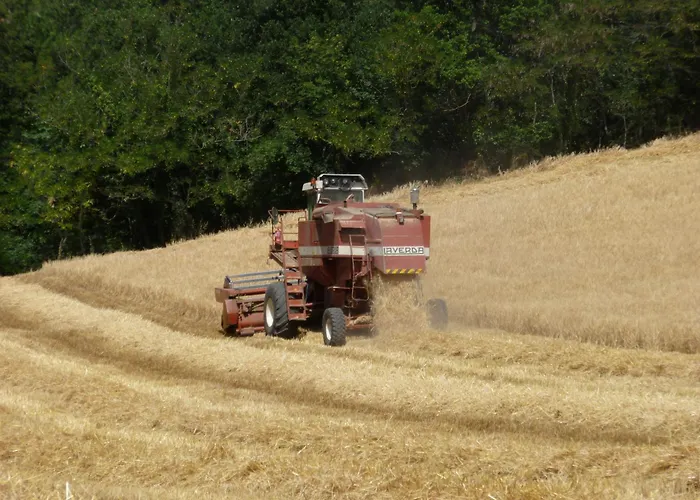 Agriturismo Rio Verde Sasso Marconi